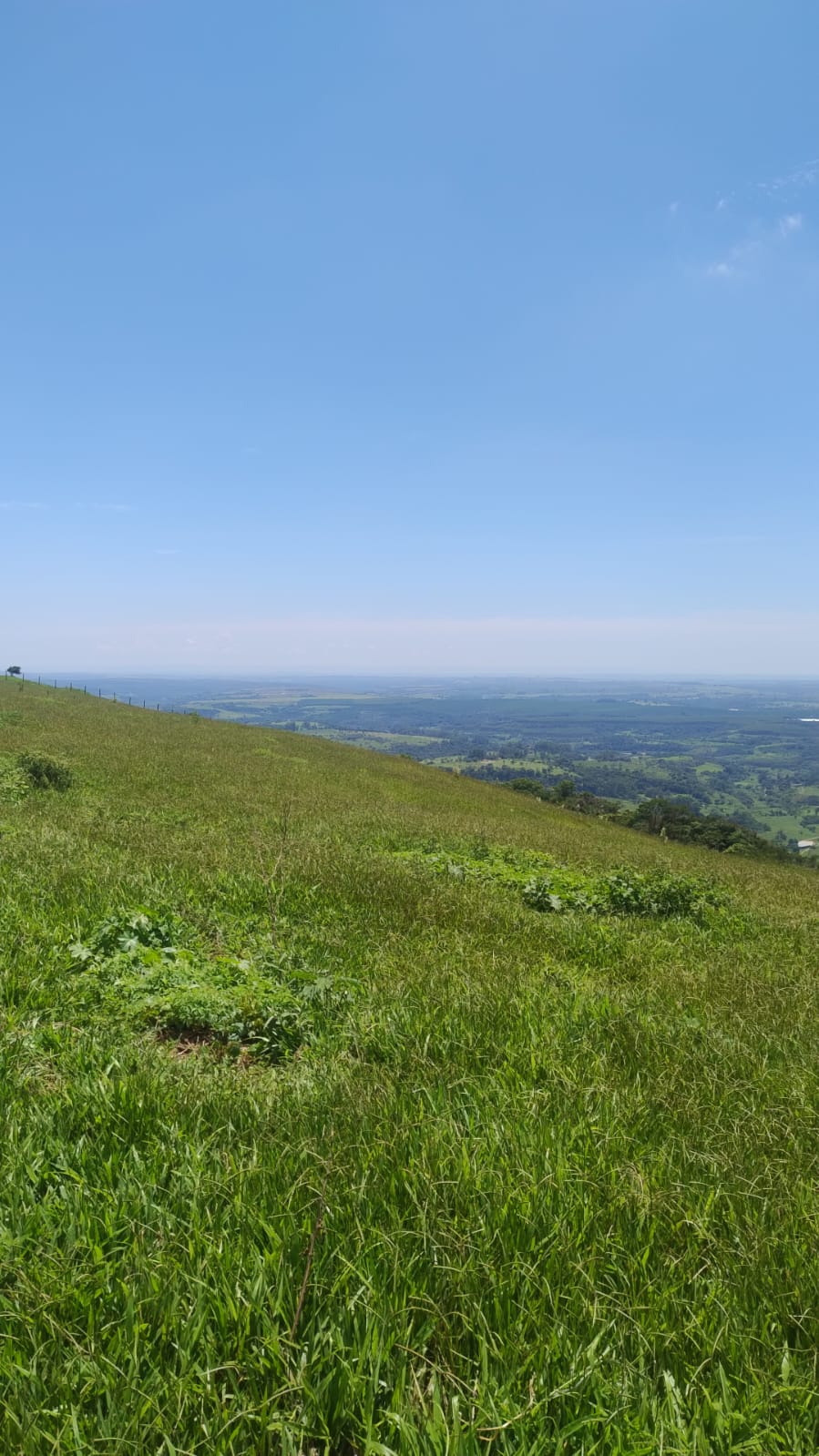 CHÁCARA, 20000 m².