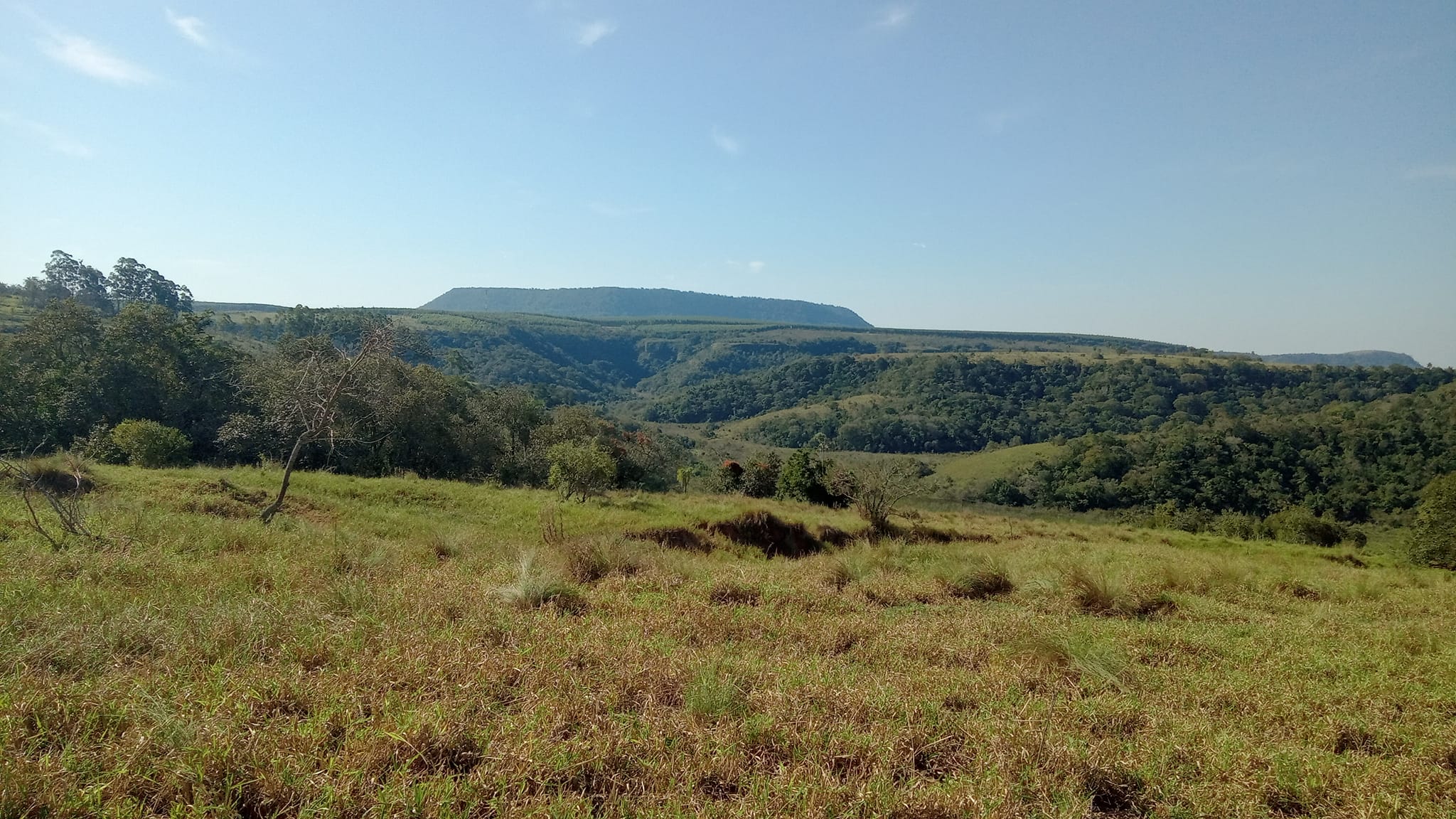 FAZENDA