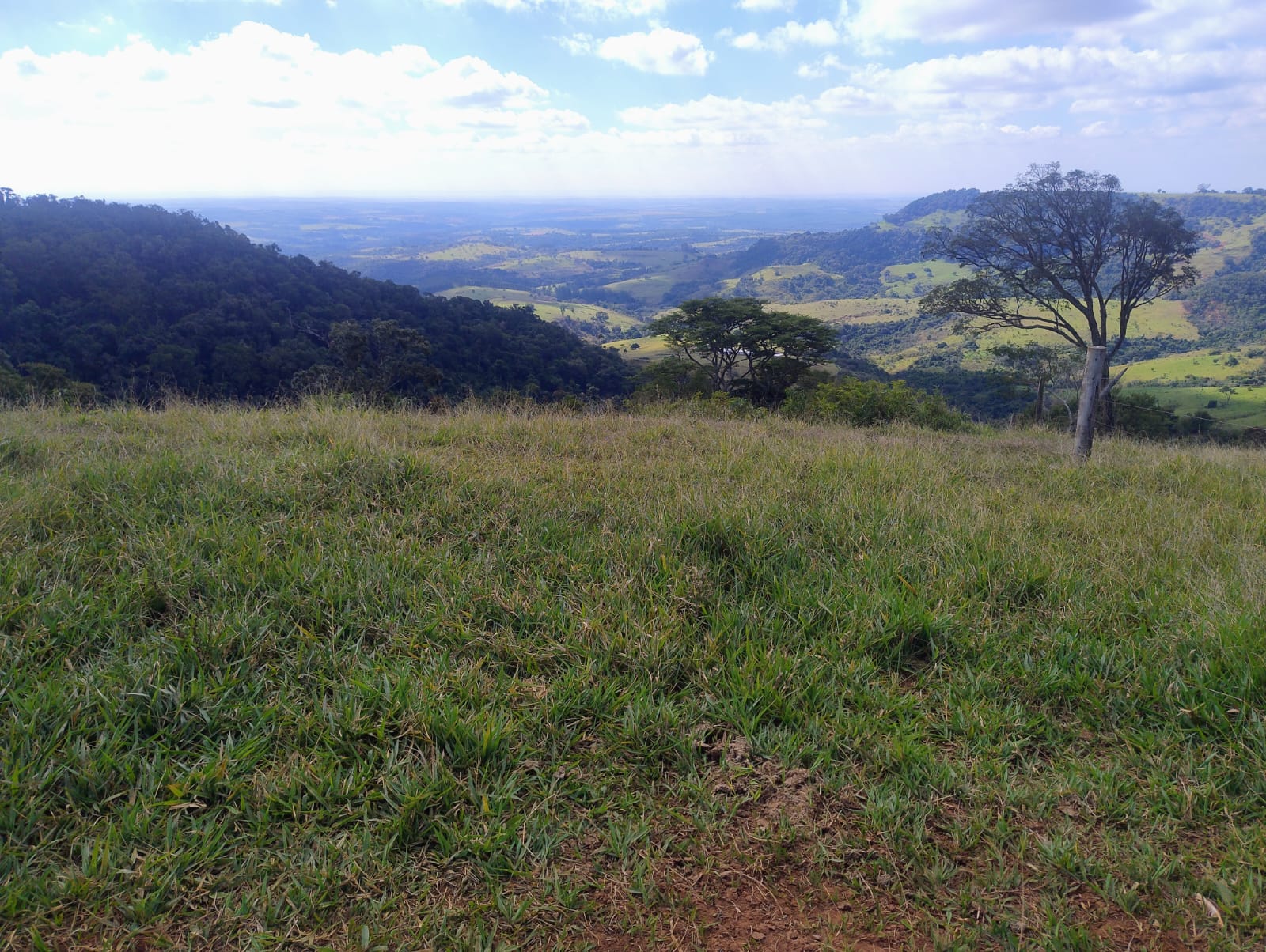 ÁREA, 20000 m².