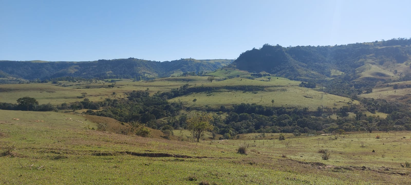 FAZENDA.