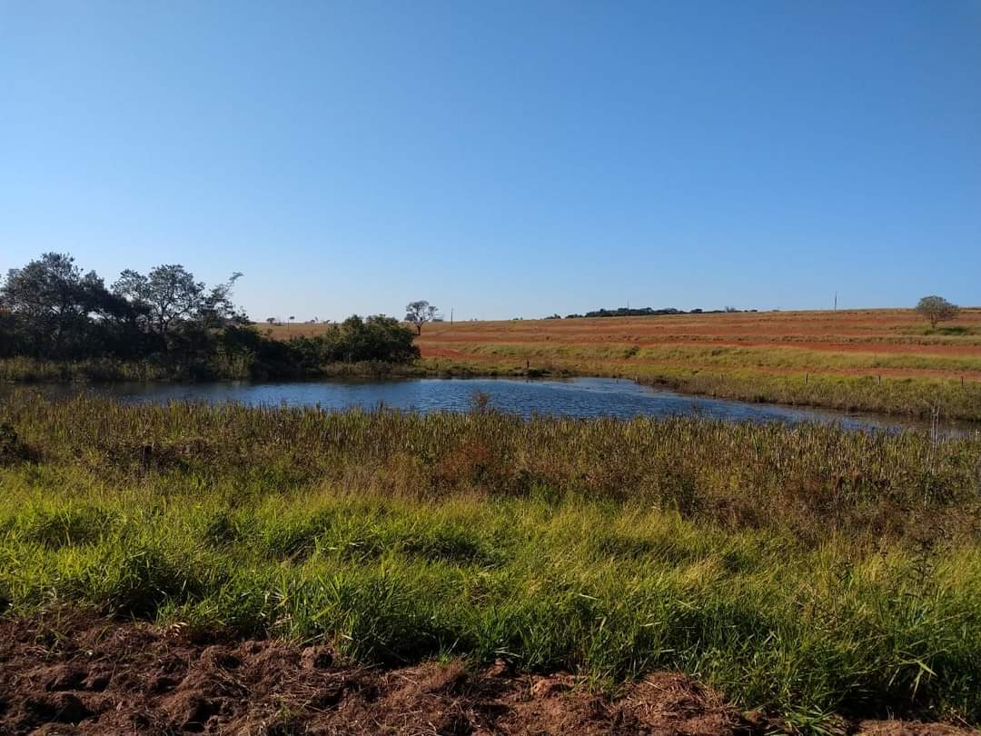 FAZENDA