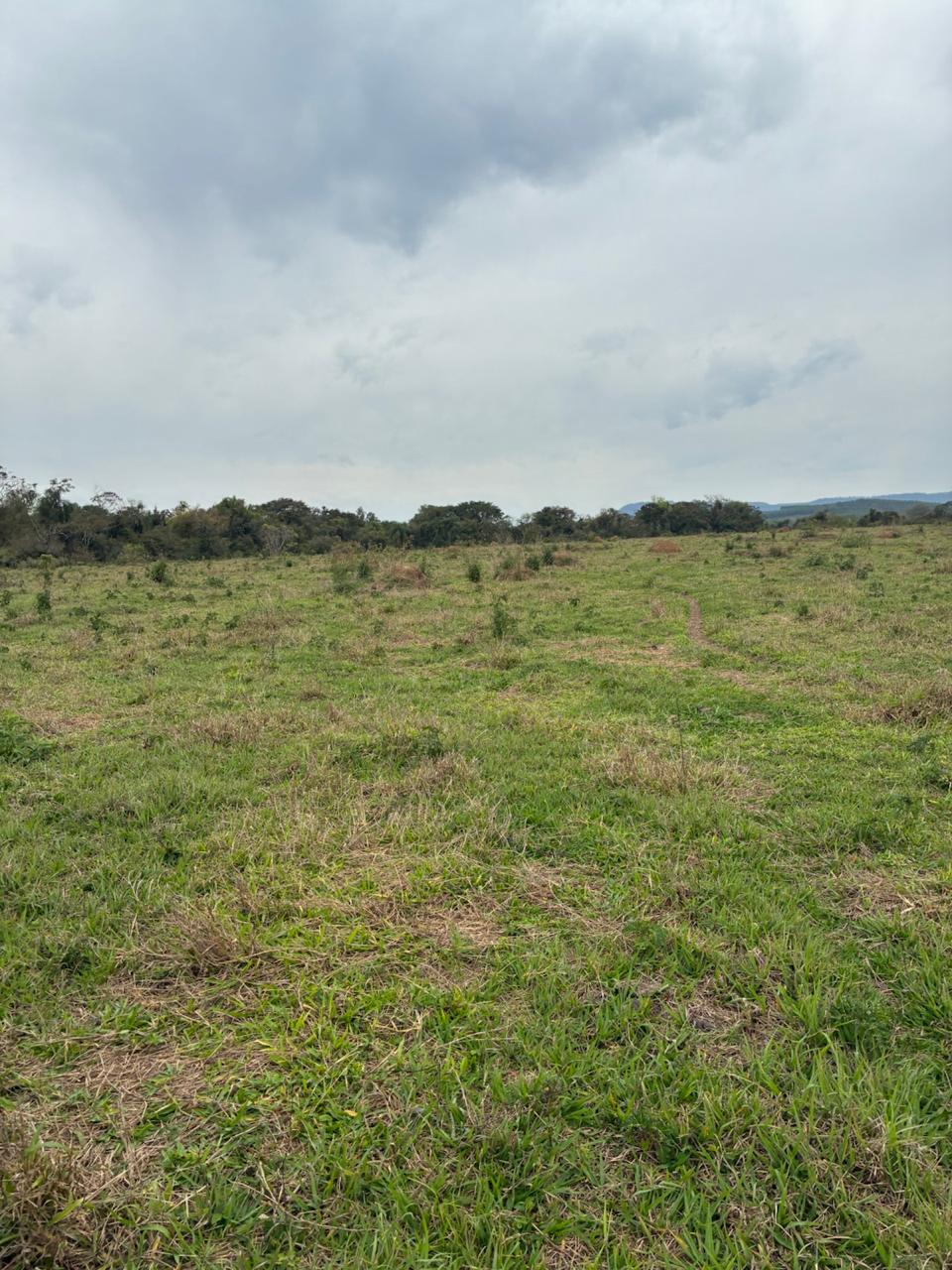 CHÁCARA, 20000 m².