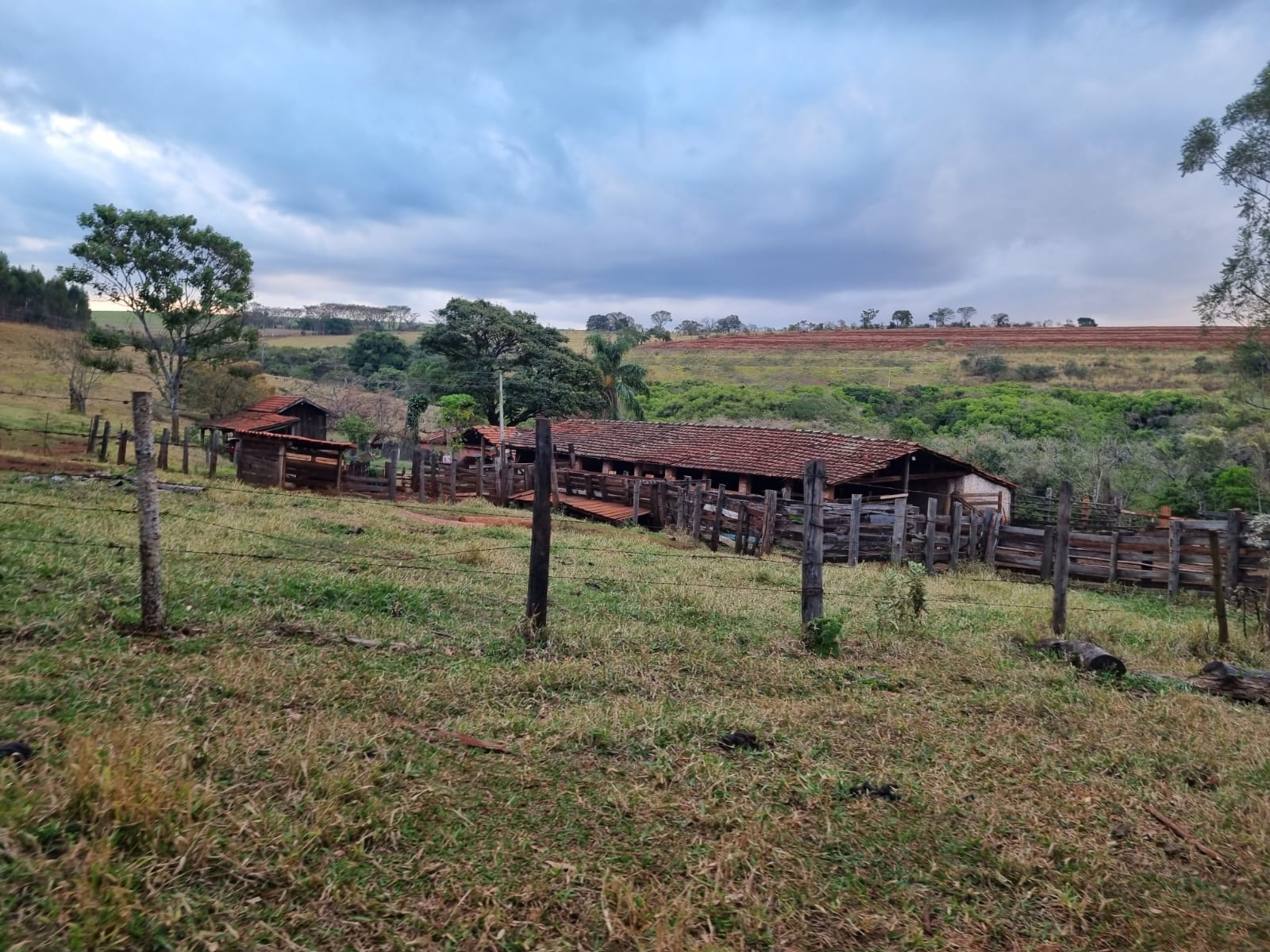 FAZENDA.