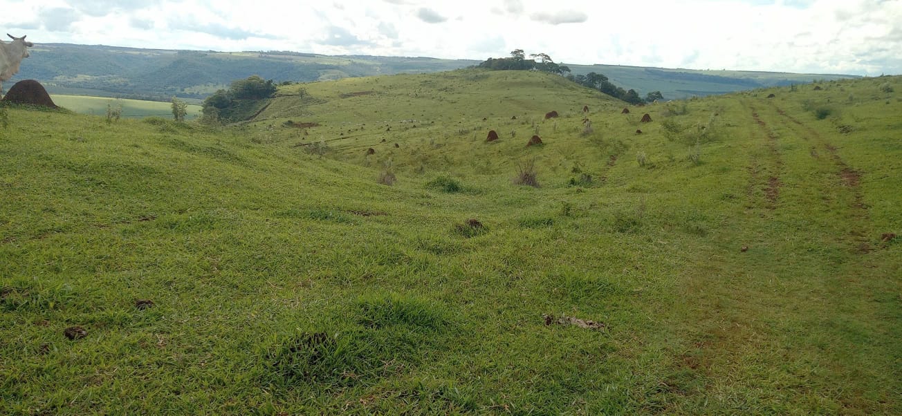 FAZENDA.