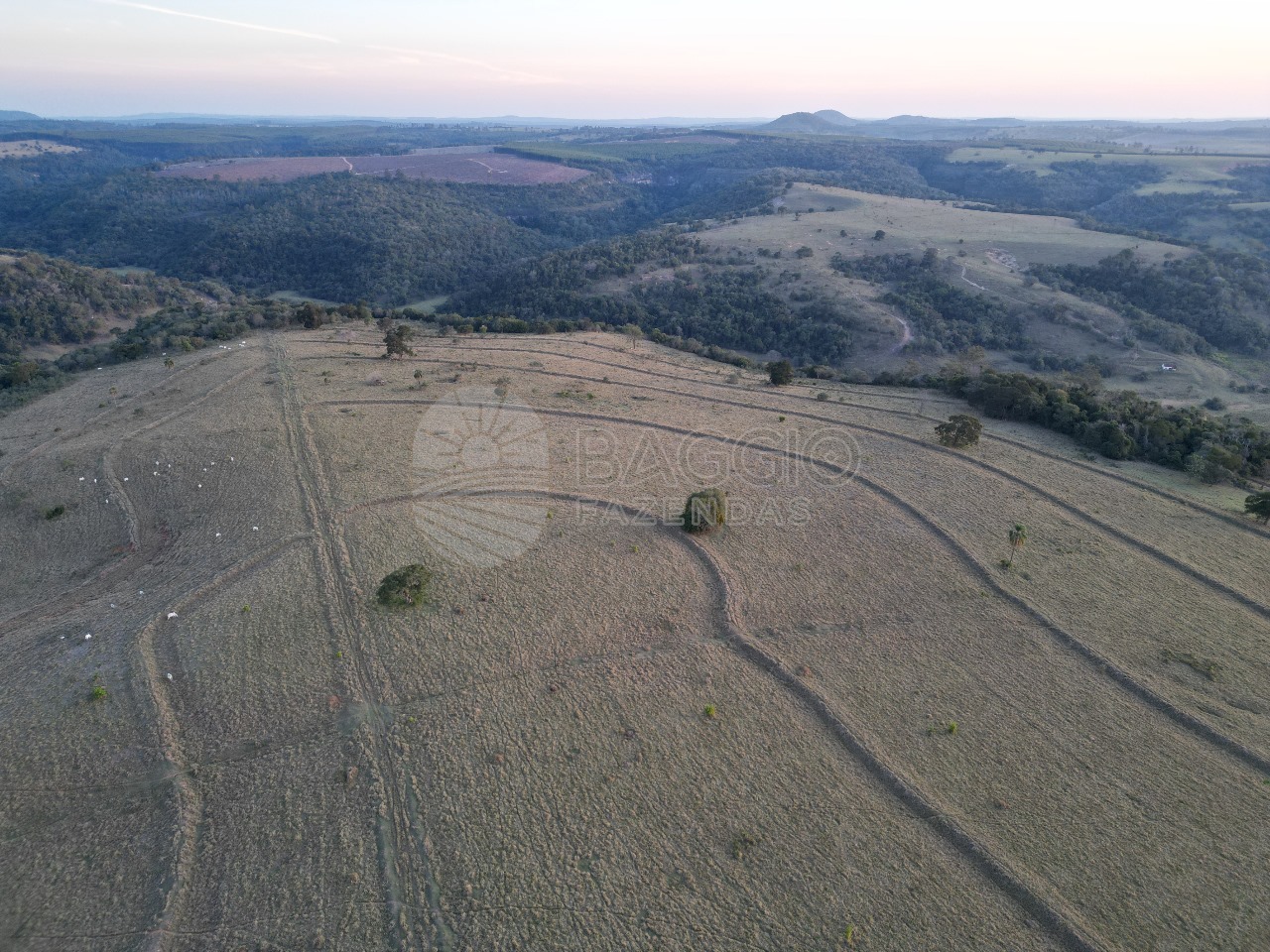 FAZENDA.